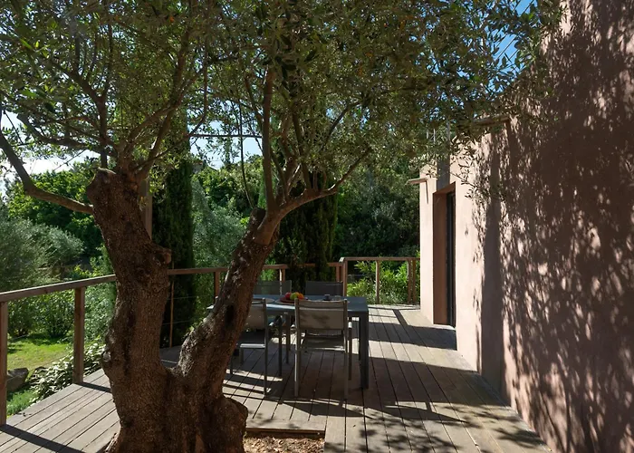 Stintinu - Tarra Zuria *